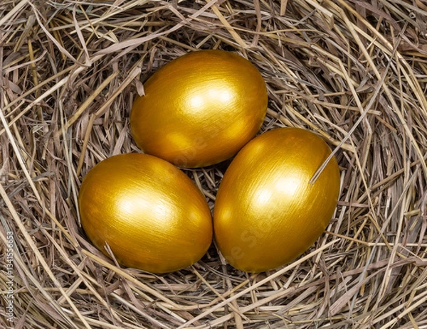 Fototapeta Three golden eggs in nest, top view. A concept representing wealth, savings and financial security.