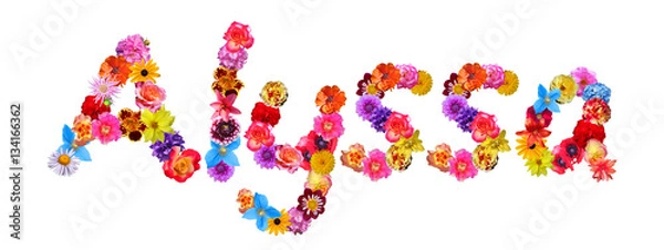 Obraz Flower Name Alyssa