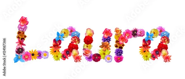 Obraz Nazwa kwiatu Laura