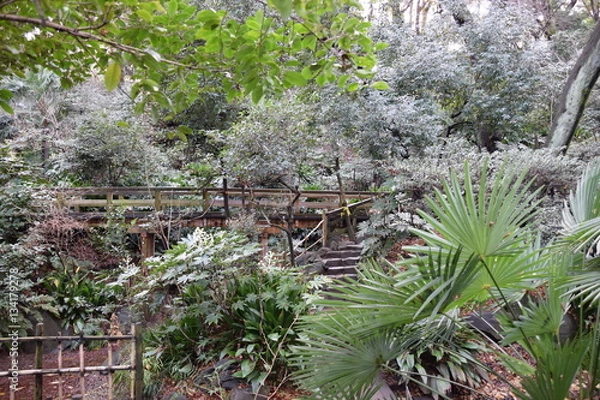 Obraz 名主の滝公園 階段
