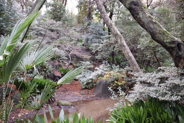 Obraz 名主の滝公園　自然
