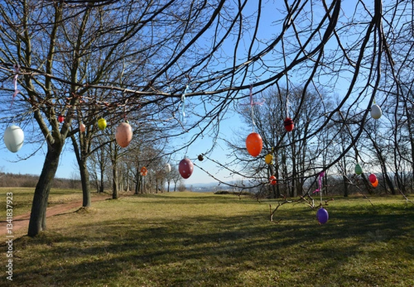 Fototapeta Bunte Ostereier hängen an Baumzweigen