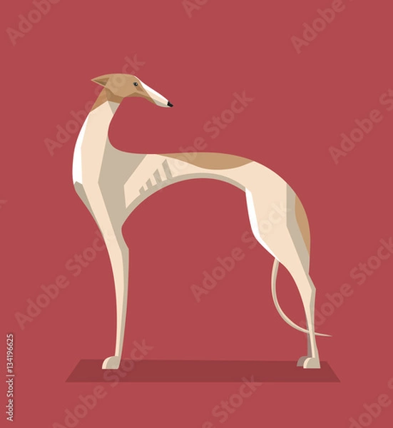 Obraz Greyhound dog minimalist image
