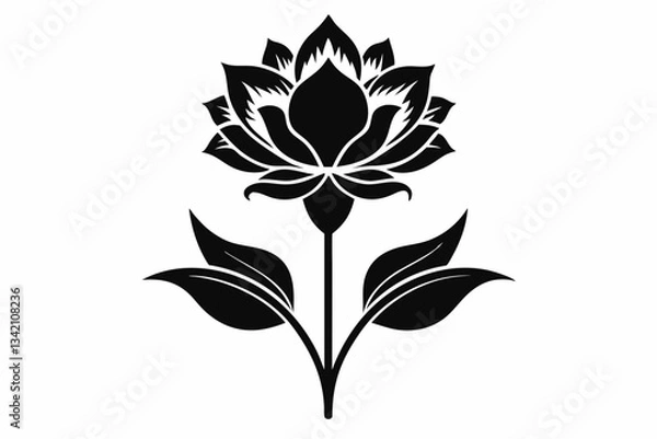 Obraz zenobia flower line art silhouette vector illustration