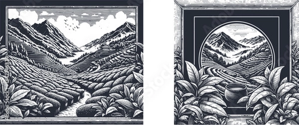 Fototapeta Set of  Scenic Tea Plantation on Mountain Landscape with a Serene River Flowing Through – Vintage-Style Artwork Capturing Nature’s Tranquil Beauty Engraving Designs tea plantation, leaf, farm