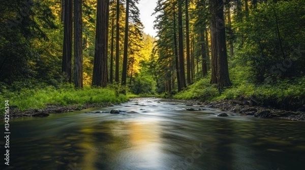 Fototapeta Serene river meandering through an enchanting forest landscape with towering trees