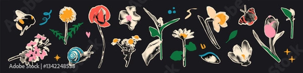 Fototapeta Spring flowers halftone collage elements set. Floral stickers with vintage dotted texture and doodles, cherry blossom, dandelion, tulip. Modern retro mixed media vector illustration