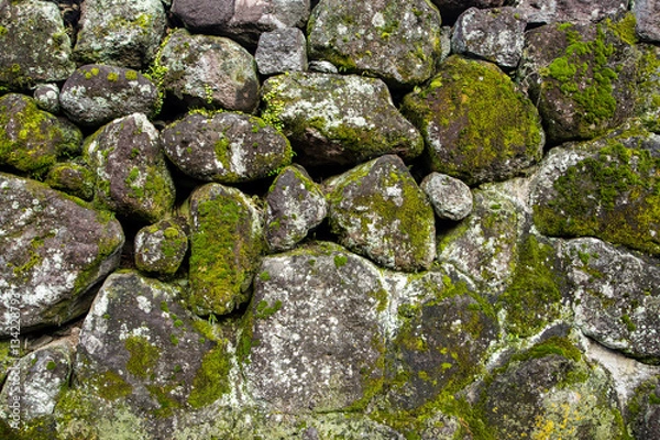 Fototapeta moss covered stone wall texture