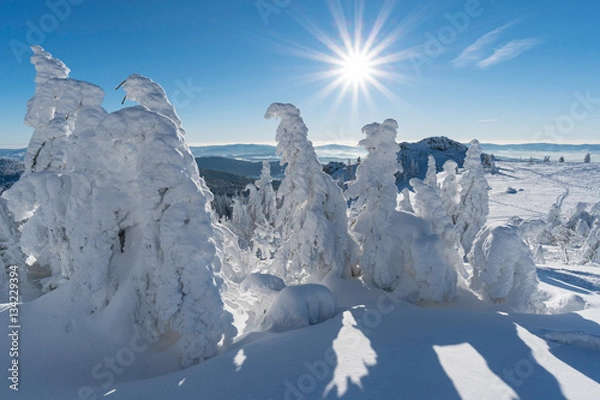 Obraz Winterlandschaft