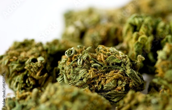 Obraz marijuana