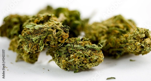 Obraz marijuana