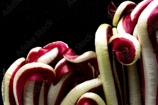 Obraz Red Chicory Radicchio close-up