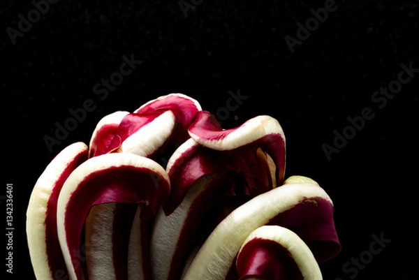 Obraz Red Chicory Radicchio close-up