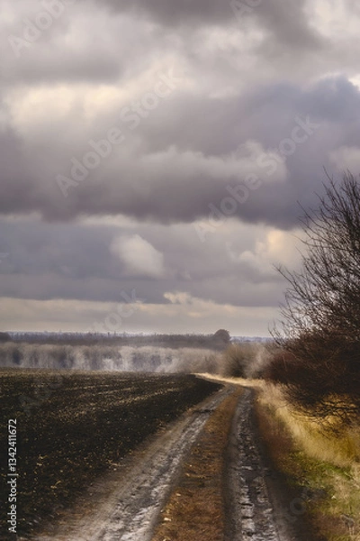 Fototapeta large white thunderclouds with bright sunbeams breaking through them over fields with a dirt road running through them during sunset