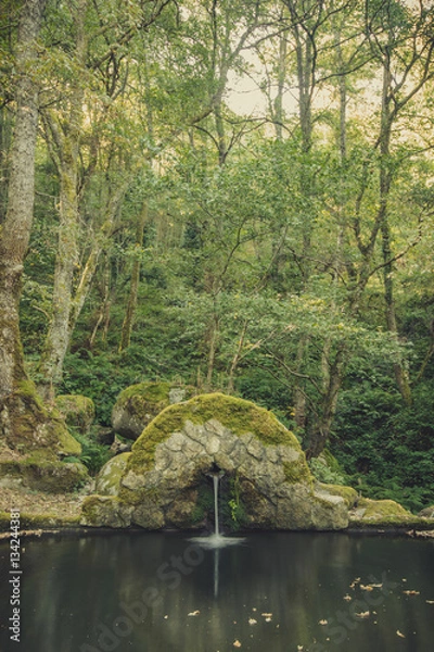 Fototapeta Vintage Tree