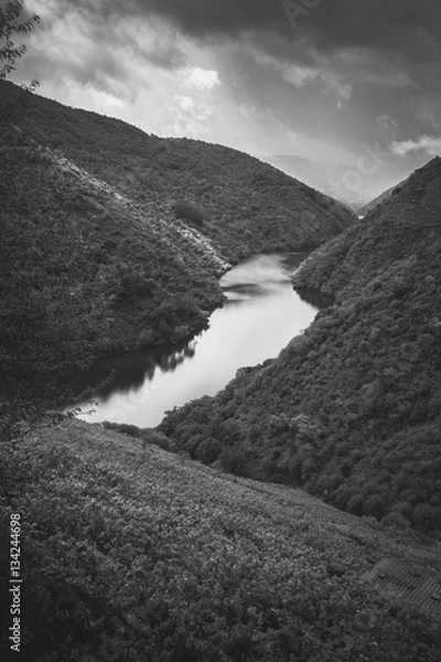 Fototapeta The River