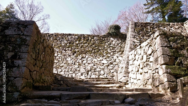 Obraz 備中松山城の石垣