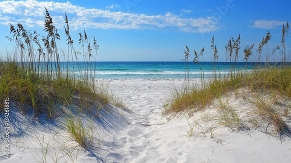 Obraz Serene Beach Pathway View