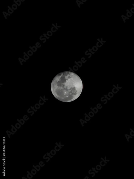 Fototapeta full moon in the night_wallpaper