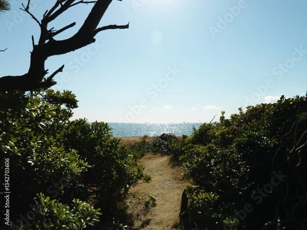 Obraz 道の先に見つけた海