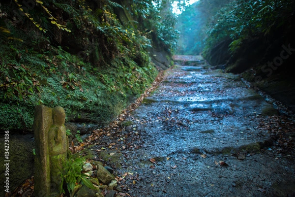 Obraz 鎌倉の朝比奈切通し