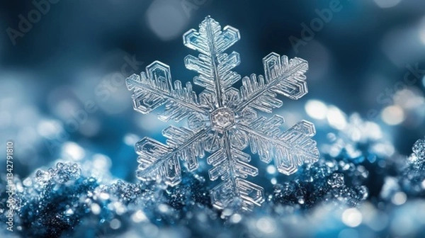 Obraz A Single Perfect Snowflake in a Winter Wonderland