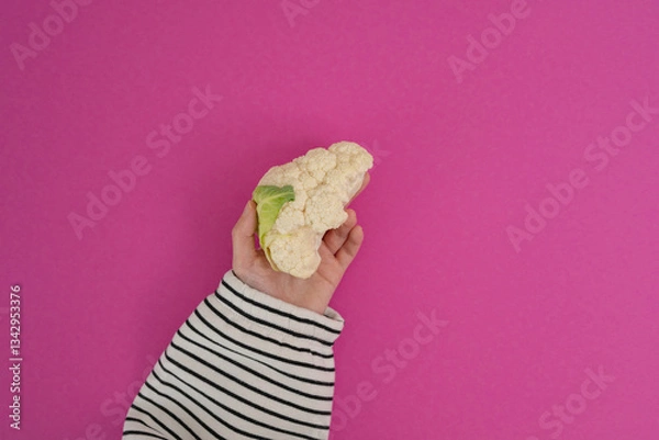 Obraz Cauliflower in a woman's hand on a pink background.