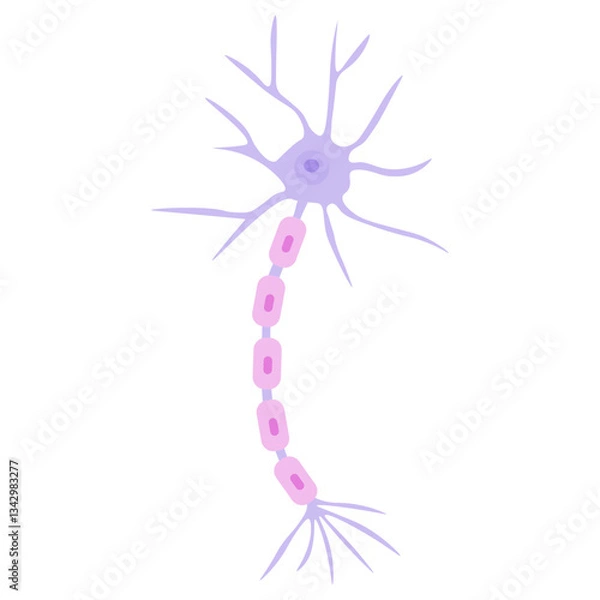Obraz motor neuron
