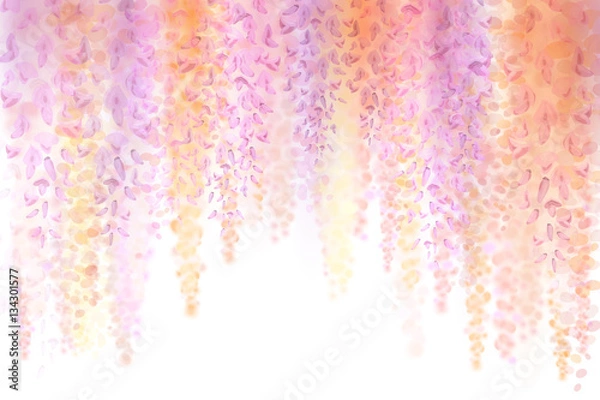 Obraz Spring background with blooming wisteria