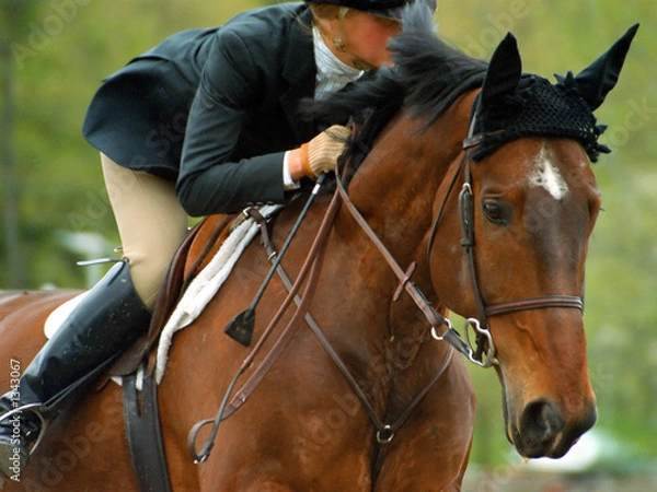 Obraz zwycięski bieg