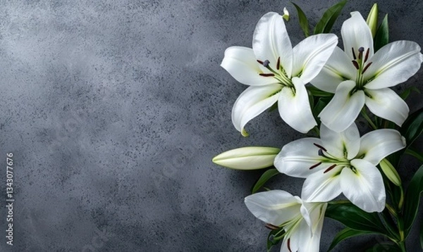 Obraz A serene branch of white lilies symbolizes mourning and remembrance.