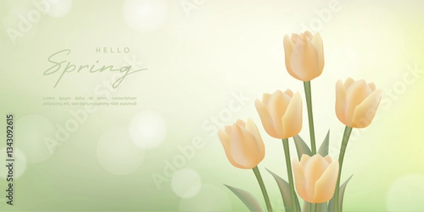 Fototapeta Spring flower background with tulips