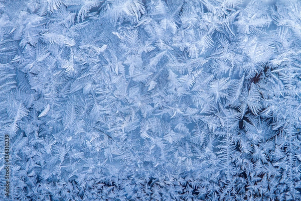Obraz Winter patterns on glass