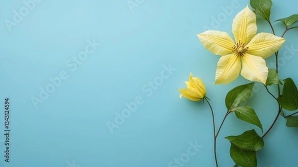 Obraz Space Yellow Clematis Scene Spring Green Garden Right