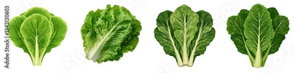 Fototapeta Vibrant display of various nutritious leafy green vegetables including lettuce kale chard and spinach showcasing their natural beauty and abundance