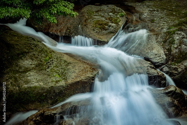 Obraz 白谷雲水峡