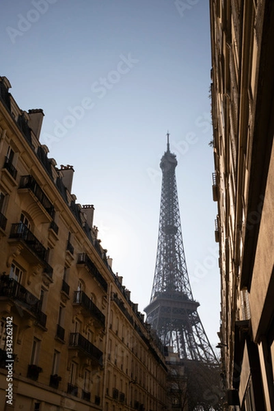 Fototapeta View of the Eiffel Tower