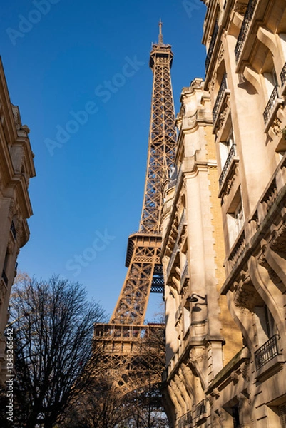 Fototapeta View of the Eiffel Tower