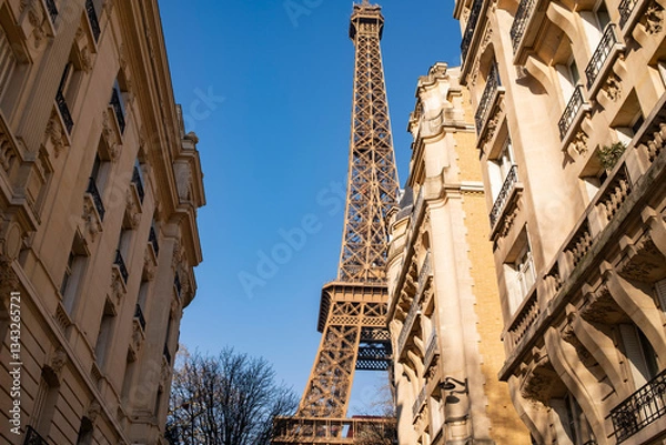 Fototapeta View of the Eiffel Tower