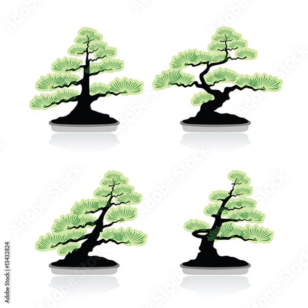 Obraz Bonsai