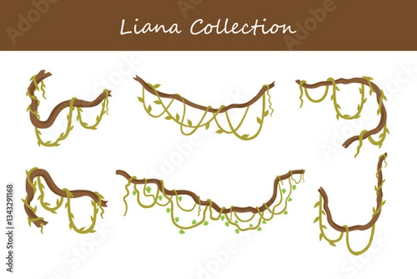 Obraz liana collection in different style. Vector illustration.