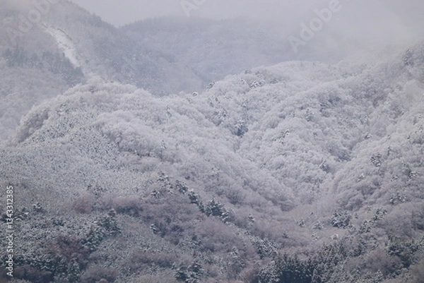 Obraz 柔らかい雪の表面が美しい雪山 冬の自然景観