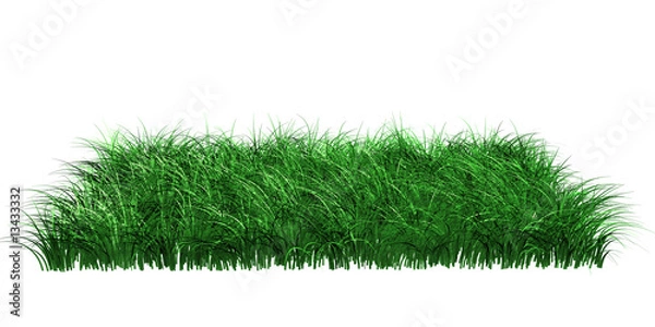 Obraz Gras freigestellt