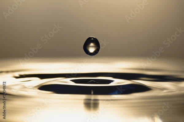 Obraz Wadha   (Wheat2)