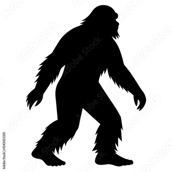 Fototapeta a vector silhouette of a Sasquatch (Bigfoot) walking in a natural pose 