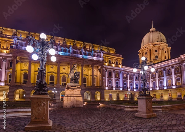 Fototapeta Royal palace in Budapest Hungary