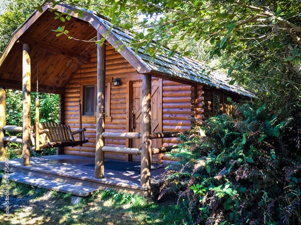 Fototapeta Tiny cabin in the woods