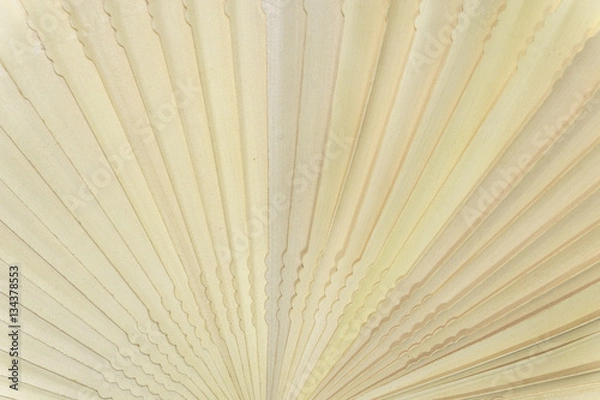 Obraz Chinese scented wood folding fan