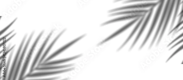 Obraz Palm Leaf Shadow Overlay PNG | Tropical Plant Shadow Effect | Soft Blurred Leaf Silhouette Background

