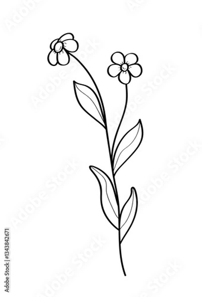 Obraz Sketch of a forget-me-not wildflower. Vector illustration of a spring flower icon. Isolate on white.